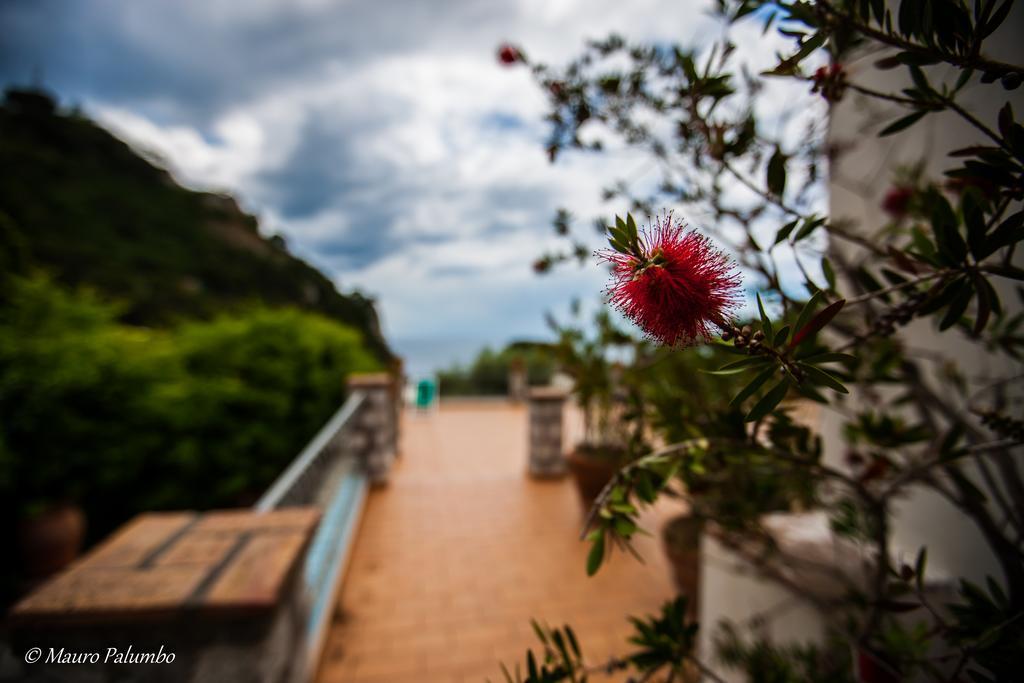 4 Stagioni Hotel